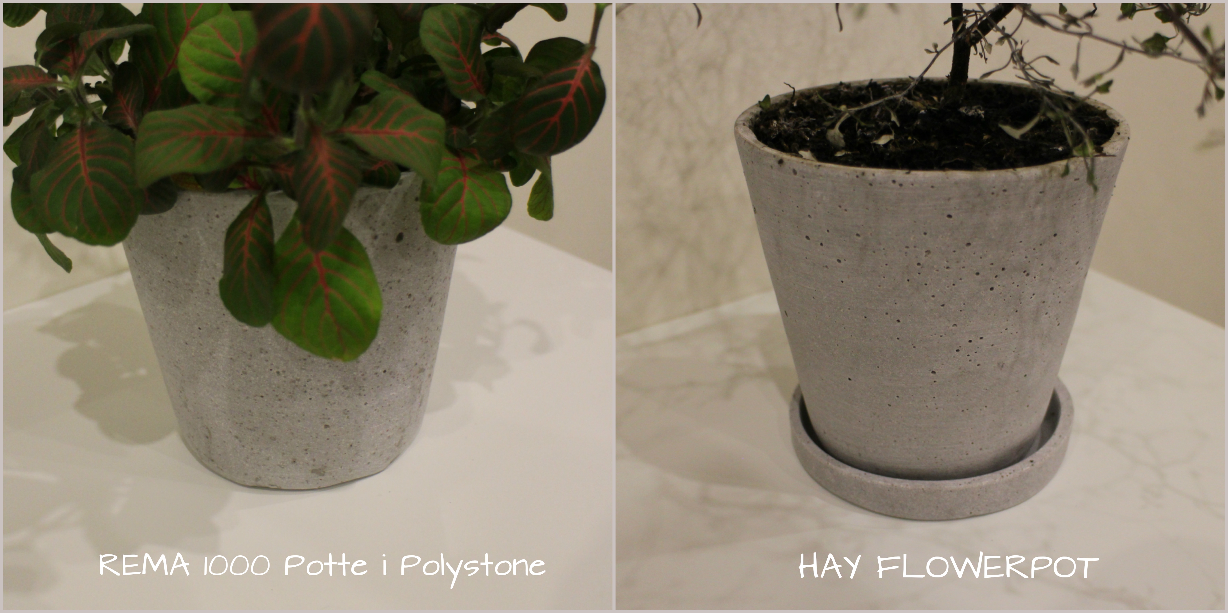 hay_flowerpot